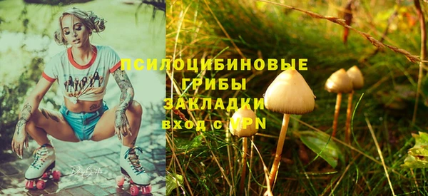 PSILOCYBIN Балахна